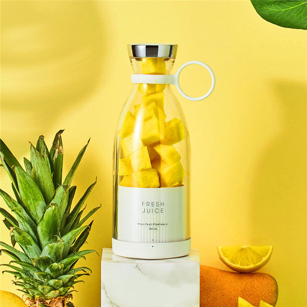 Mini portable blender